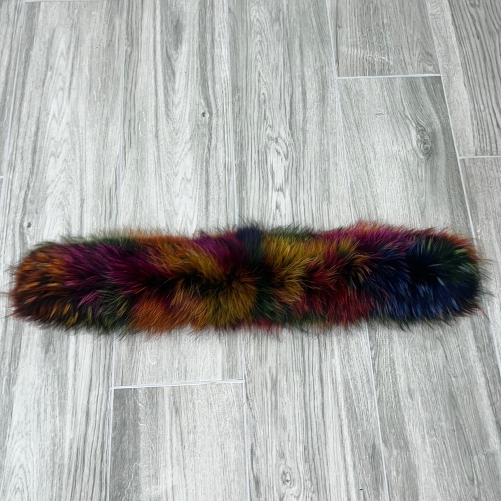Gorgeous raccoon fur color